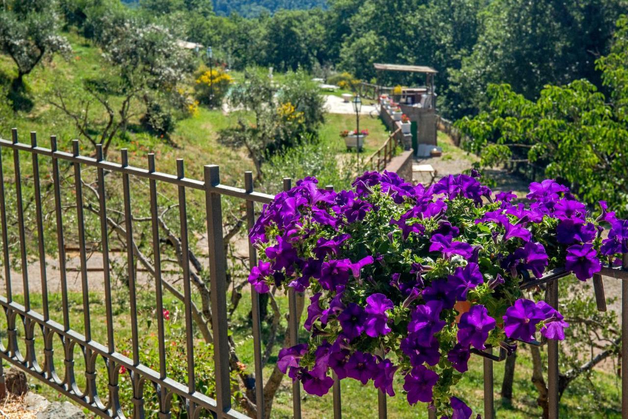 Podere Figlinelle Starda Εξωτερικό φωτογραφία