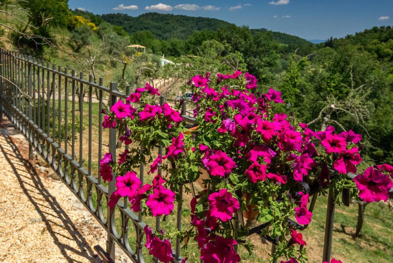Podere Figlinelle Starda Εξωτερικό φωτογραφία